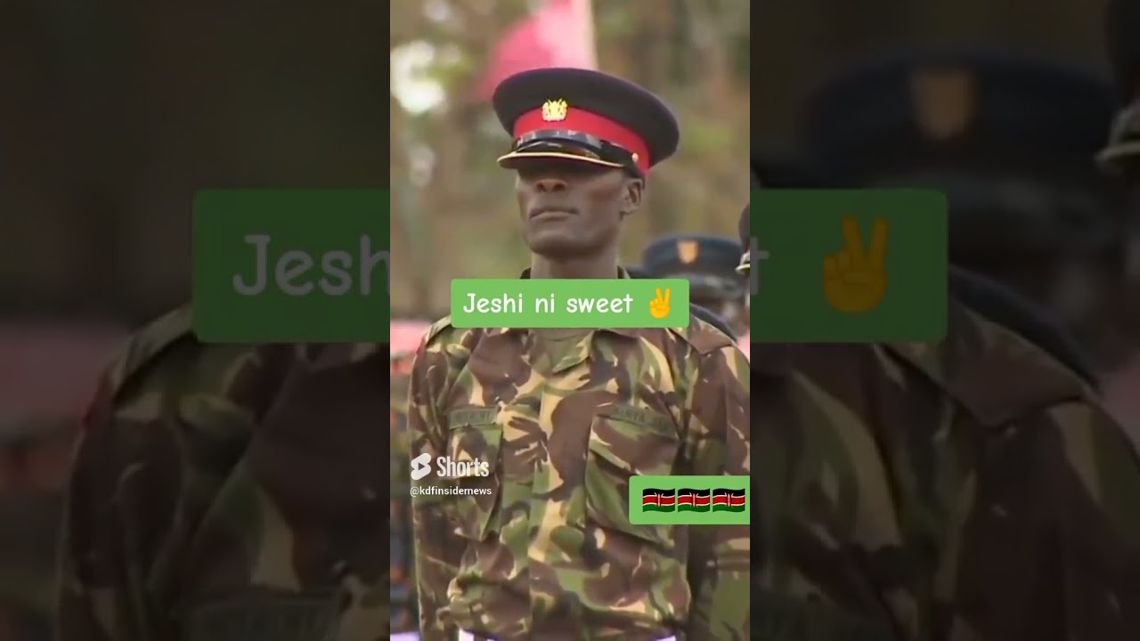 kdf training the best 