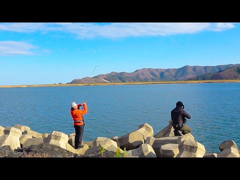 真昼間にルアーでカレイが連発!!この冬話題の釣り