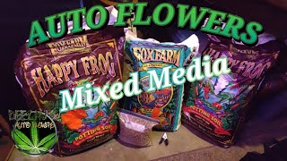 Germination through week 1 of veg- AUTO FLOWERS