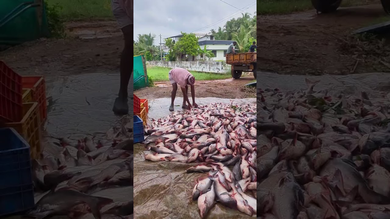 ഓ മെയിൻ... 😍❤️