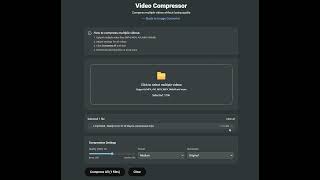 Open-Source Image & Video Converter – Demo screenshot 3