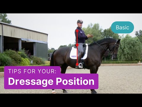 Tips for the Correct Dressage Position - Carl Hester - video from Ridely