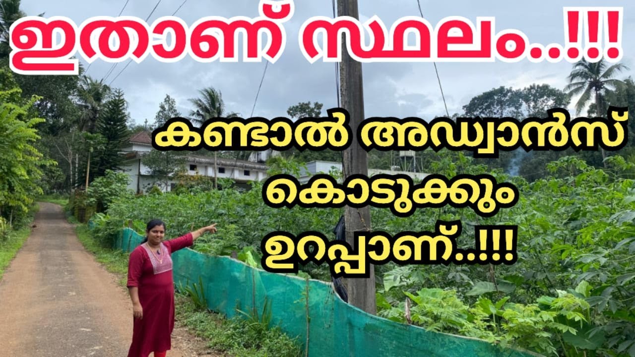 771: ഈ സ്ഥലം കണ്ടാൽ വാങ്ങാതെ പോകാൻ കഴിയില്ല..!!!  അത്രയ്ക്ക് സൌകര്യത്തില് ഉള്ള സ്ഥലം...