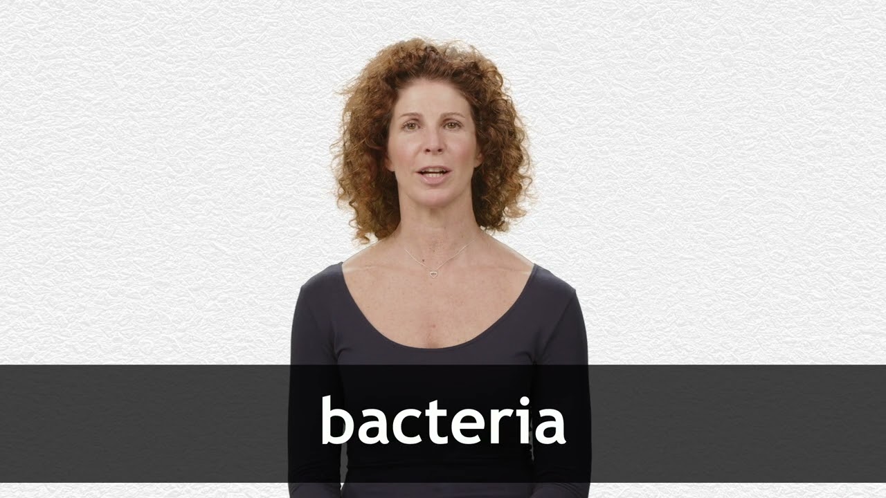 How to pronounce BACTERIA in American English