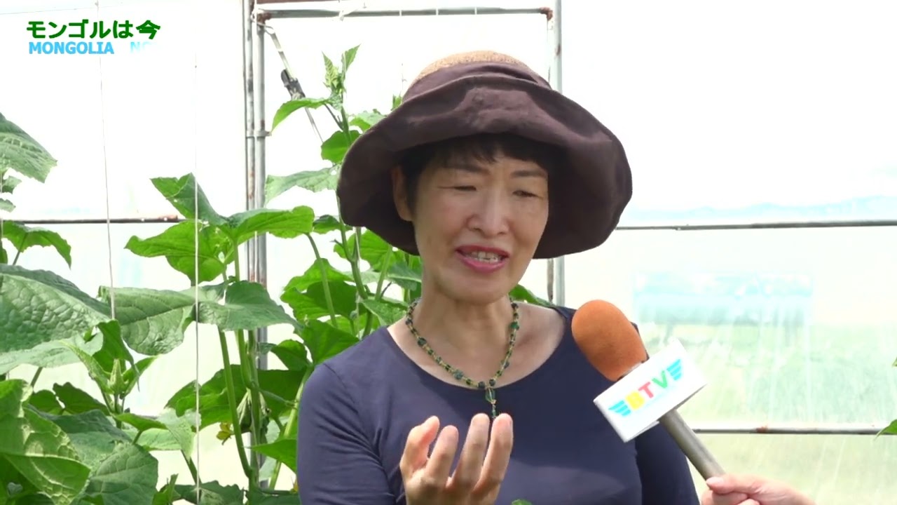 BTV Japanese chef Suzuki Yuko in Mongolia