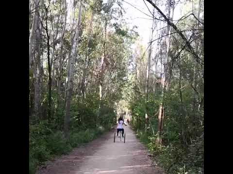 الجنه في دير تعنايل في الطبيعه بين البحيرة والحياه البريه