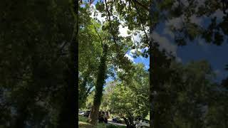 Maxo Tre Cervice Nc Call Phone Number 1 919 265-9703 9842928256