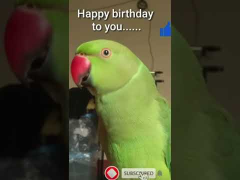 send this to someone special ❤️😁 #happybirthday #birthdaysong