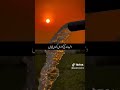 Issy rah gay kallem kaly #sad #edit #kwali #voice #stitch #shorts #viralvideo #like