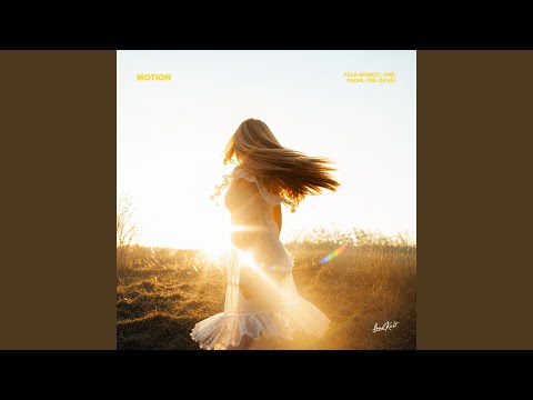 Palm Brothers, Amè, PACHE & Feel On Eel - MOTION