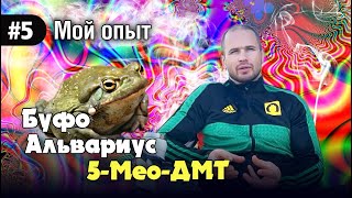 Мой первый опыт "Буфо Альвариус".Исчезновение.