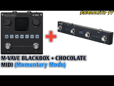 M-Vave BlackBox + Chocolate MIDI (MOMENTARY MODE) | How to connect