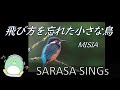 『飛び方を忘れた小さな鳥』　MISIA covered by SARASA Video shooting GENKI