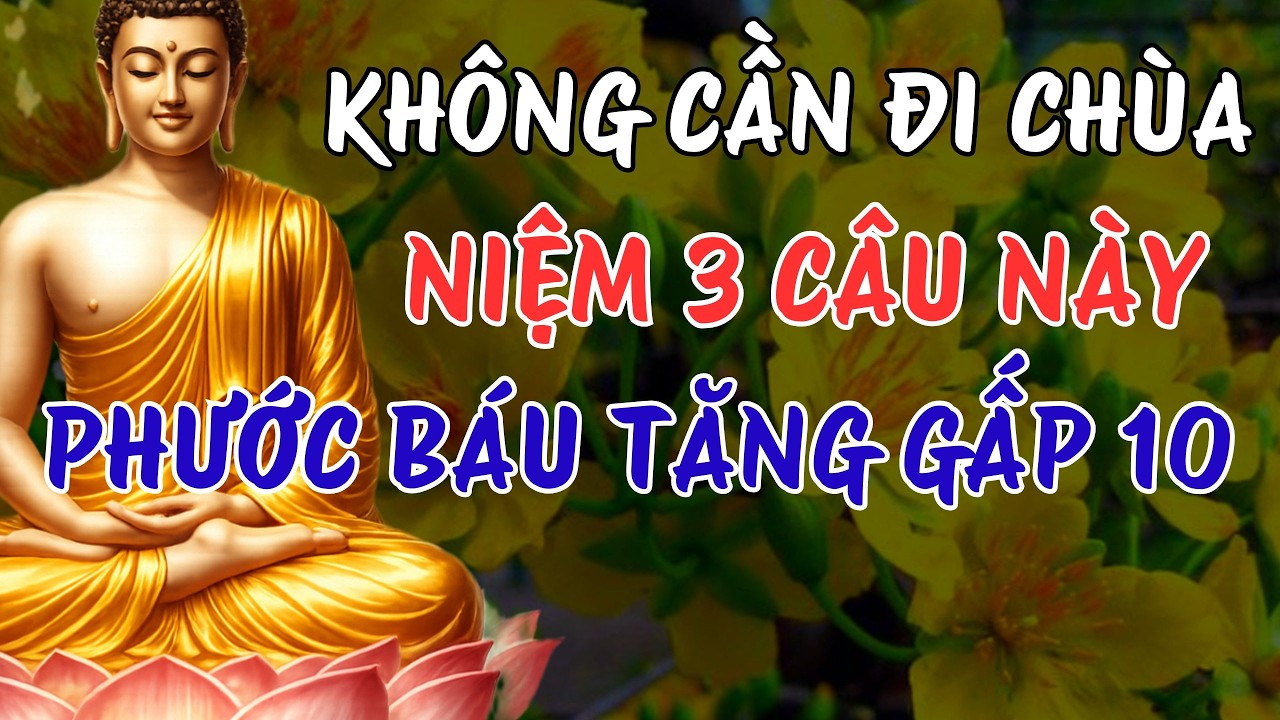 Lời Phật Dạy: Không Cần Đến Chùa Cứ Niệm 3 Câu Này Phước Báu Tăng Lên Gấp 10 Lần