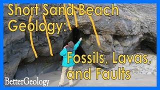 The Surprising Geology of Oregons Best Surf Beach | Short Sand Beach