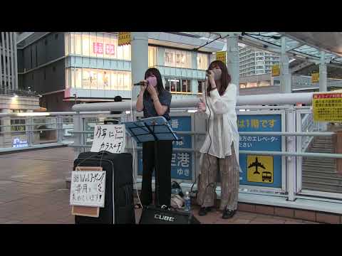 片耳にカラスムギ。「だから僕は音楽を辞めた」 2021.06.29　海老名ストリートライブ　ヨルシカcover