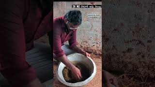 Panchagavya Preparation 🌿 | The Divine Elixir from Desi Cow 🐄 | Natural Farming Secret #panchagavya