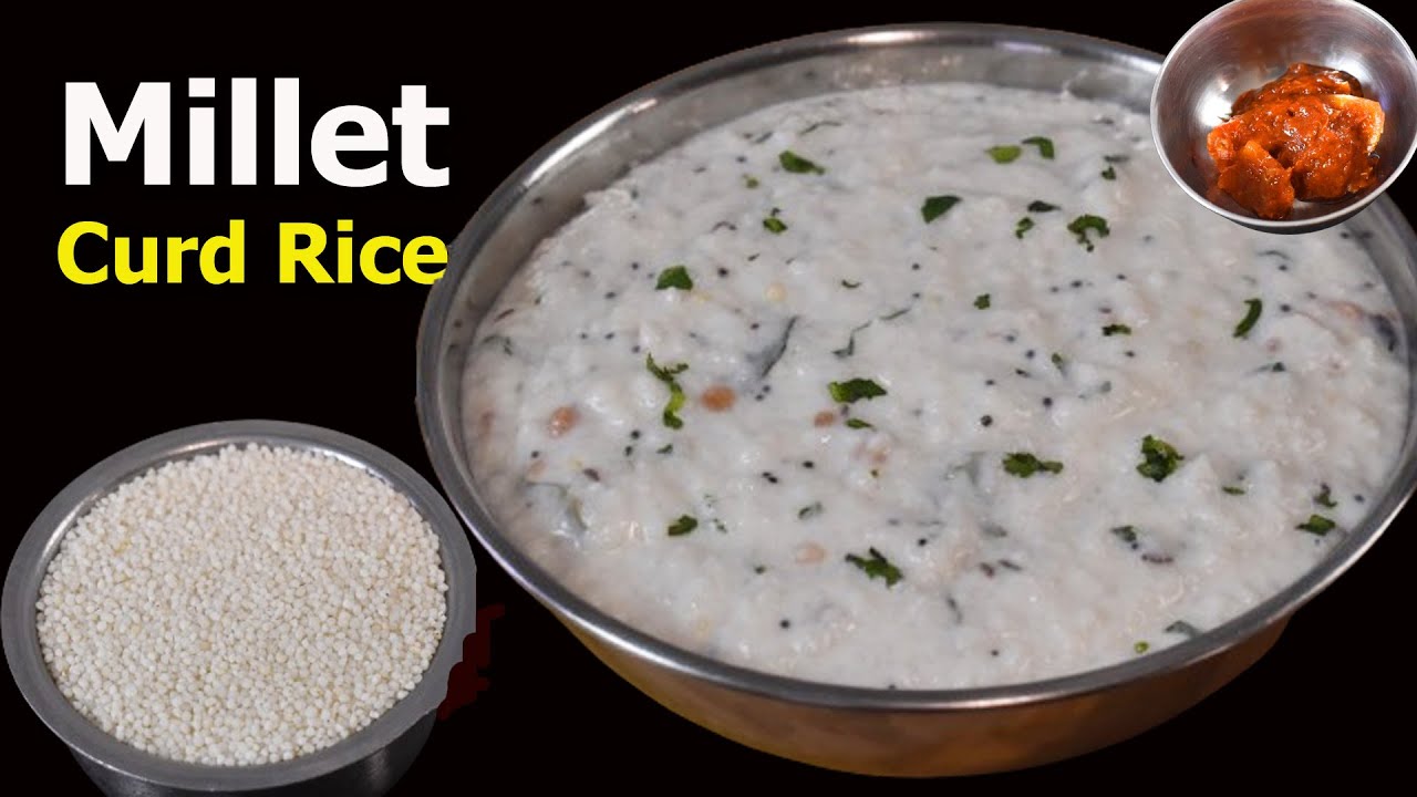 Best Tasty Millet Curd Rice Millet cooking in stove top Quick