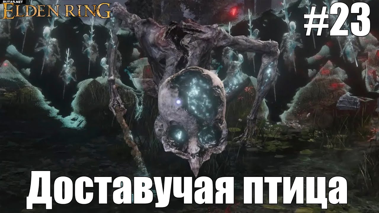 Доставучая птица | Elden Ring #23