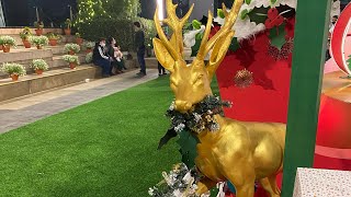 Candy 🍬 crush saga #gameplay - 516 #christmas season #2021 screenshot 4