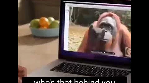monky video call