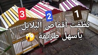 الطريقة الصحيحة لتنظيف قفص البلبل | و كيفية الحفاظ على خشب القفص