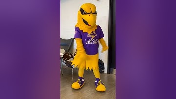 Day in the Life of Midas in Waterloo