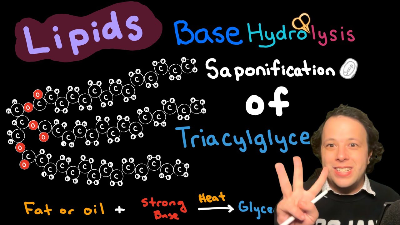 Lipids: Saponification of Triacylglycerides
