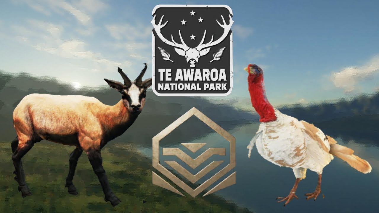 Te Awaroa GOLD Challange + DIAMOND TURKEY!!!