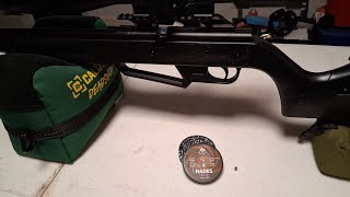 Ruger NXG with JSB Hades pellet accuracy testing #JSB Hades .177 #Ruger NXG #Vogel pellets
