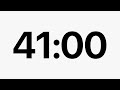 41 Minute Timer