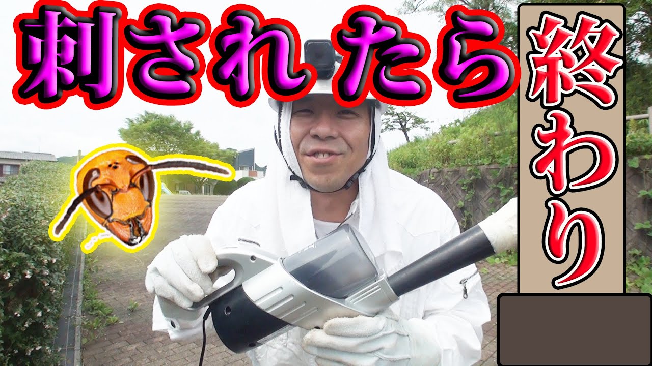 犬の鑑札 注射済票を 結束バンドで簡単装着方法 Youtube 犬の鑑札 注射済票を 結束バンドで簡単装着方法 Youtube