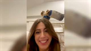 y2mate com   Best Funny Animal Videos 2022   Funniest Dogs And Cats Videos  1080p