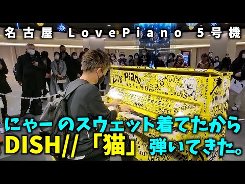 [ストリートピアノ] にゃー のスウェット着てたからDISH//「猫」弾いてきた。