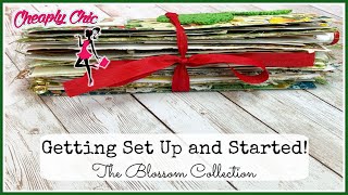 Sharing Plans and Setting Up My Blossom Fairy Journal!