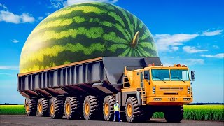 Heavy Machinery Carrying The Strangest Items