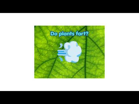 Do plants fart?