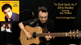 Vídeo de The Fool