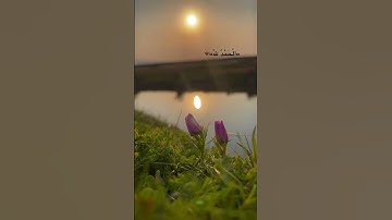 وقالوا الحمد لله الذي أذهب عنا الحزن إن ربنا لغفور شكور | من سورة فاطر|