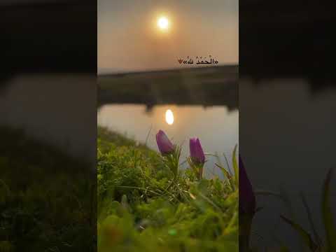 وقالوا الحمد لله الذي أذهب عنا الحزن إن ربنا لغفور شكور من سورة فاطر