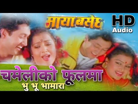 Chameli Ko Phool Ma original Song Udit Narayan jha  Satyakala Rai Nepali Movie Maya Basechha  song