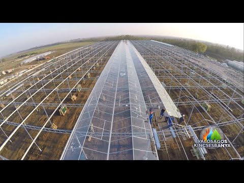 Videó: Üvegházak és Melegágyak A Greenhouse Choice Cégtől