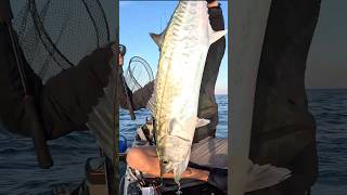 This is why you fish two live baits at once! #fishing