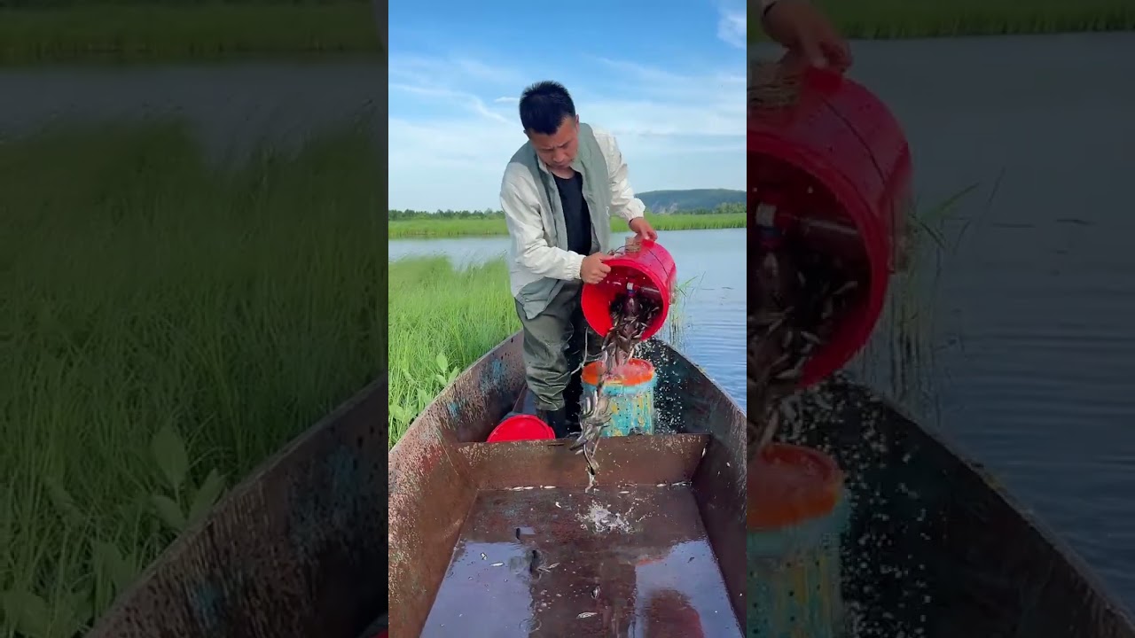 # broken...treasure found]hidden bucket of fish uncovered|‌‌™# fish