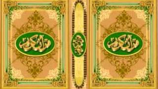 قرءان كريم | سورة لقمان | أحمد نعينع