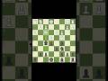 Come Challenge my Queen #chessfun #chessforbeginners #learnchess #checkmate #beginnerchess