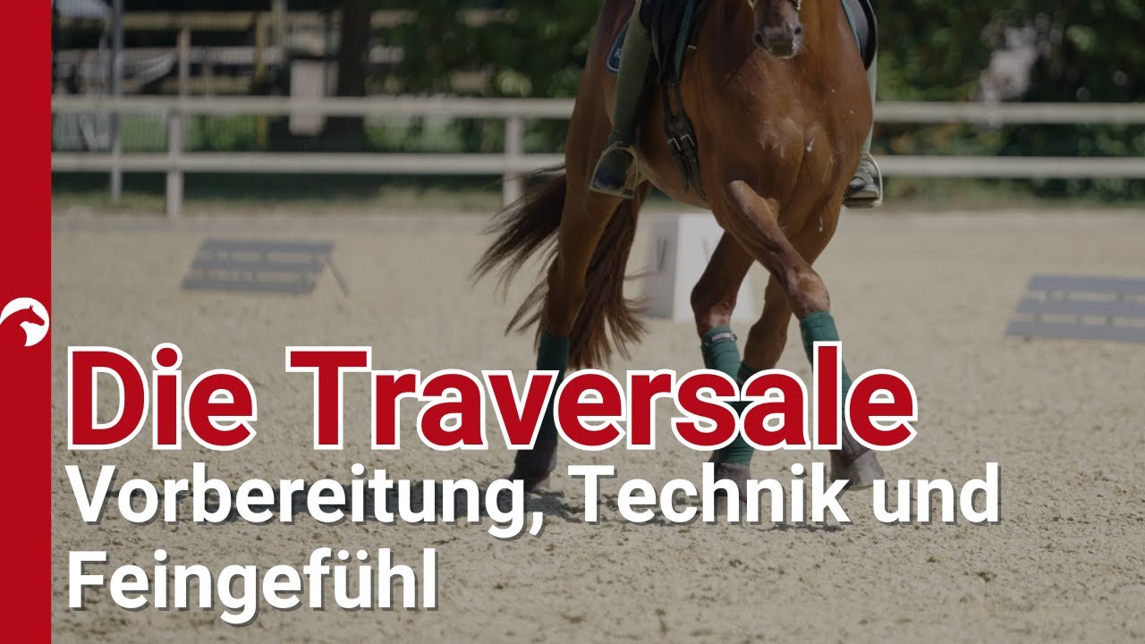 Wie reite ich eine gute Traversale? Dorothee Schneider zeigt es uns!