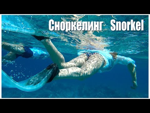 Vídeo: On fer snorkel i busseig a les Maldives