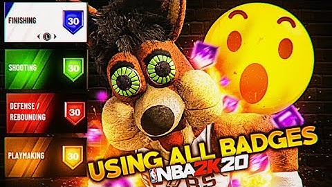I used EVERY badge in nba 2k20 at once and this happened..