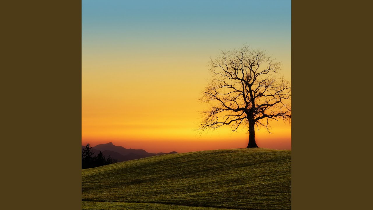 Serene Dawn Meditation (loop sequence)